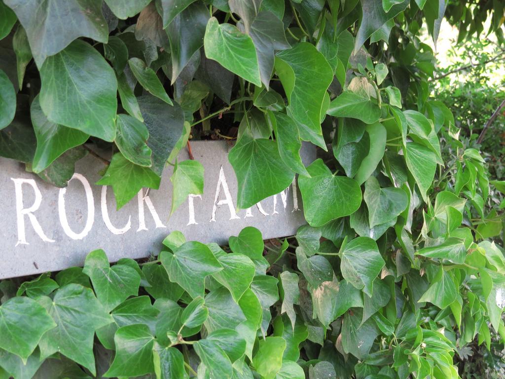 Rock Farm Bed & Breakfast Tarporley Bagian luar foto