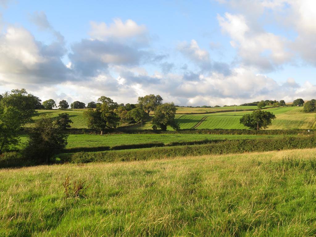 Rock Farm Bed & Breakfast Tarporley Bagian luar foto