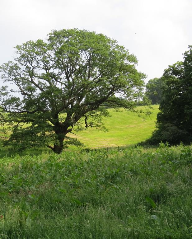 Rock Farm Bed & Breakfast Tarporley Bagian luar foto