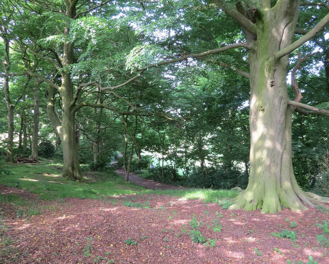 Rock Farm Bed & Breakfast Tarporley Bagian luar foto