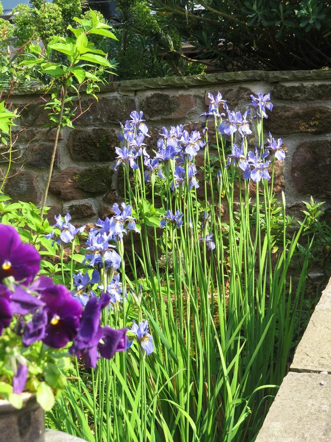 Rock Farm Bed & Breakfast Tarporley Bagian luar foto